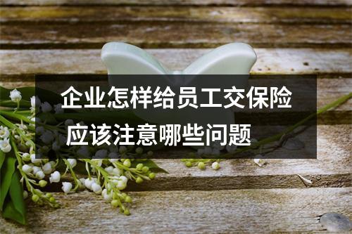 企业怎样给员工交保险 应该注意哪些问题