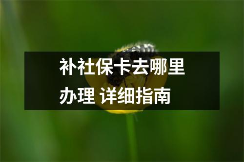 补社保卡去哪里办理 详细指南