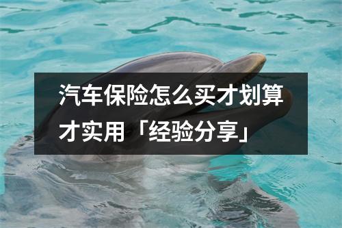 汽车保险怎么买才划算才实用「经验分享」