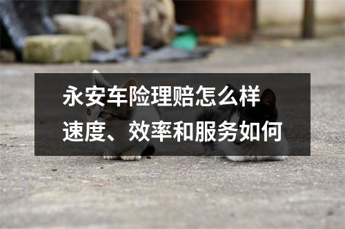 永安车险理赔怎么样 速度、效率和服务如何