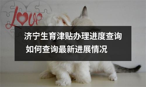 济宁生育津贴办理进度查询 如何查询最新进展情况