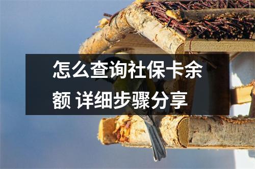 怎么查询社保卡余额 详细步骤分享