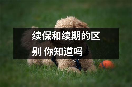续保和续期的区别 你知道吗
