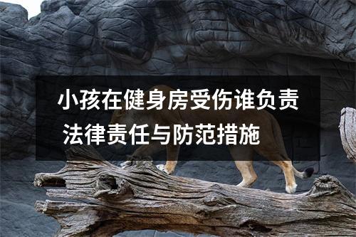 小孩在健身房受伤谁负责 法律责任与防范措施