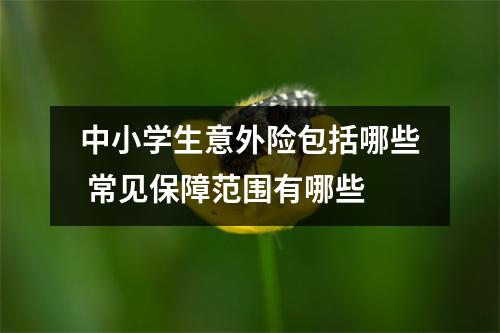 中小学生意外险包括哪些 常见保障范围有哪些