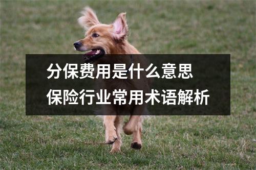分保费用是什么意思 保险行业常用术语解析