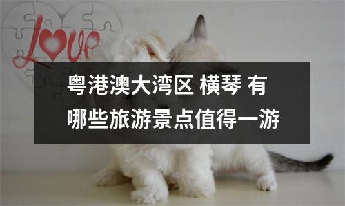 粤港澳大湾区 横琴 有哪些旅游景点值得一游