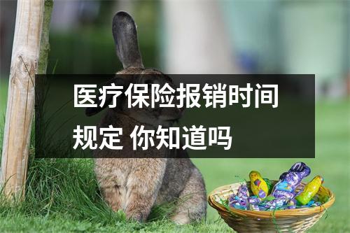 医疗保险报销时间规定 你知道吗 