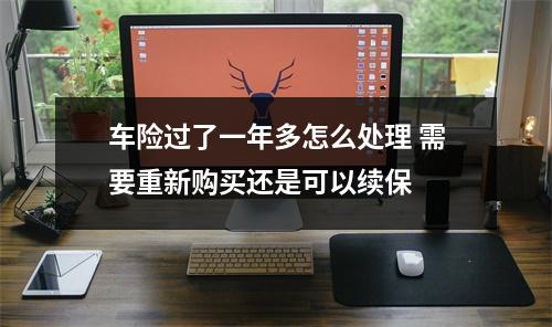 车险过了一年多怎么处理 需要重新购买还是可以续保 