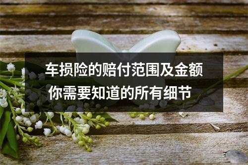 车损险的赔付范围及金额 你需要知道的所有细节