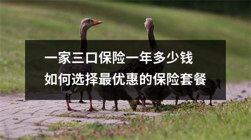 一家三口保险一年多少钱 如何选择最优惠的保险套餐