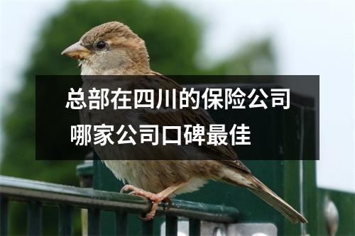 总部在四川的保险公司 哪家公司口碑最佳 