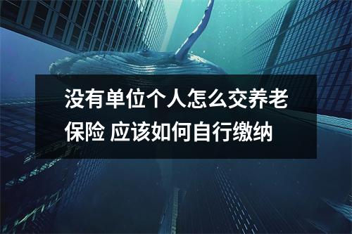 没有单位个人怎么交养老保险 应该如何自行缴纳