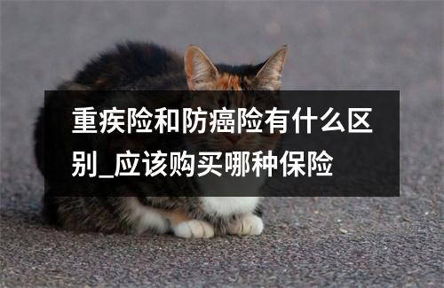 重疾险和防癌险有什么区别_应该购买哪种保险