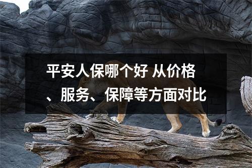 平安人保哪个好 从价格、服务、保障等方面对比