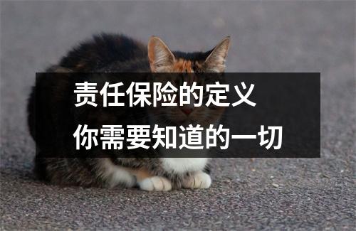 责任保险的定义 你需要知道的一切