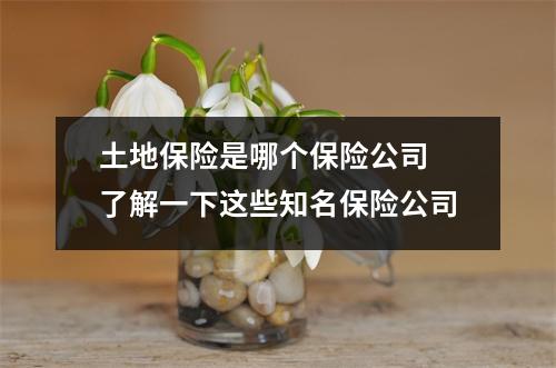 土地保险是哪个保险公司 了解一下这些知名保险公司