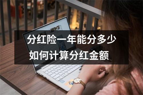 分红险一年能分多少 如何计算分红金额