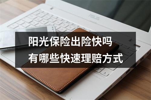 阳光保险出险快吗 有哪些快速理赔方式