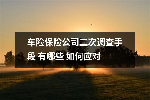 车险保险公司二次调查手段 有哪些 如何应对 
