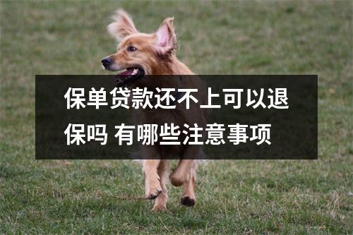 保单贷款还不上可以退保吗 有哪些注意事项