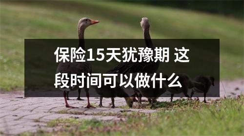 保险15天犹豫期 这段时间可以做什么