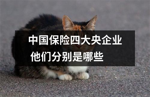 中国保险四大央企业 他们分别是哪些