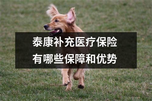 泰康补充医疗保险 有哪些保障和优势 