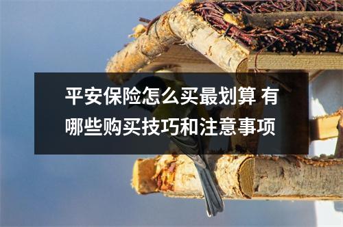 平安保险怎么买最划算 有哪些购买技巧和注意事项