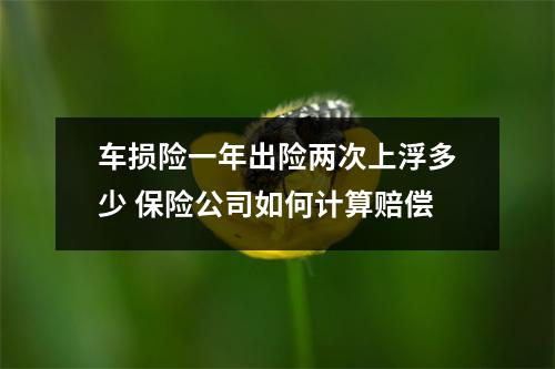 车损险一年出险两次上浮多少 保险公司如何计算赔偿