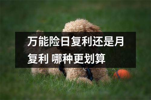 万能险日复利还是月复利 哪种更划算