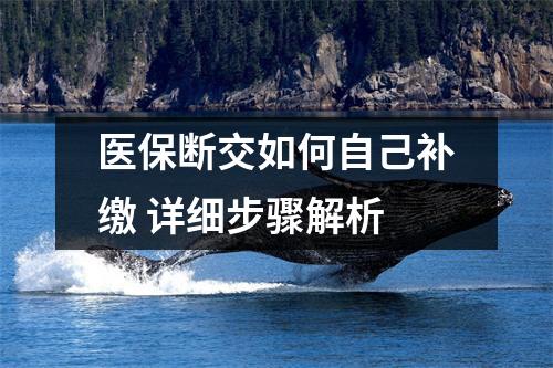 医保断交如何自己补缴 详细步骤解析