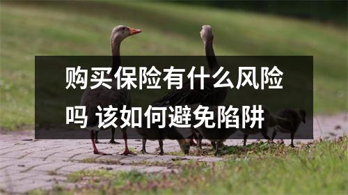 购买保险有什么风险吗 该如何避免陷阱