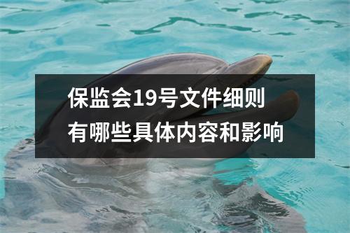 保监会19号文件细则 有哪些具体内容和影响