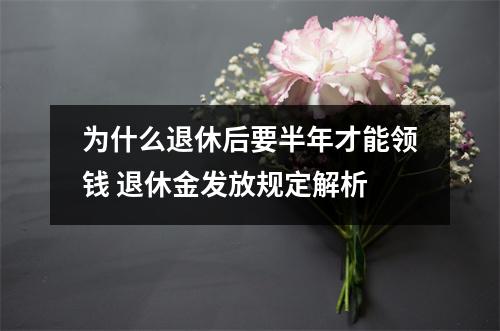 为什么退休后要半年才能领钱 退休金发放规定解析