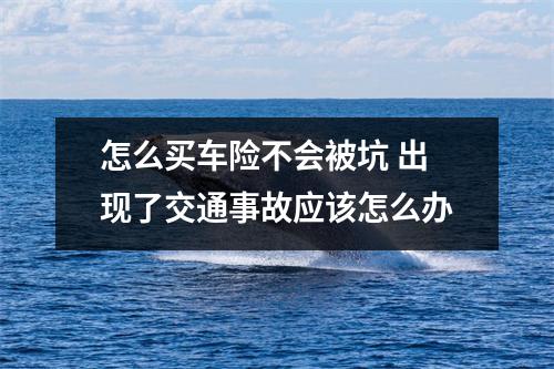 怎么买车险不会被坑 出现了交通事故应该怎么办