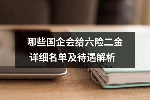 哪些国企会给六险二金 详细名单及待遇解析