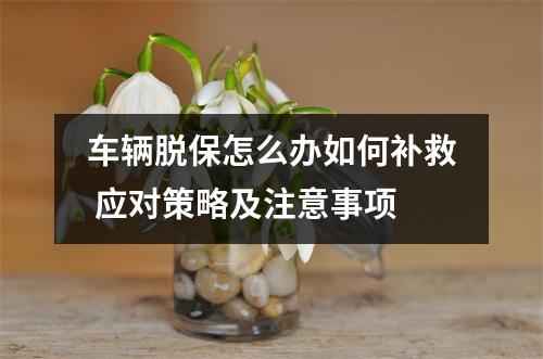 车辆脱保怎么办如何补救 应对策略及注意事项