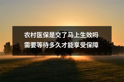 农村医保是交了马上生效吗 需要等待多久才能享受保障