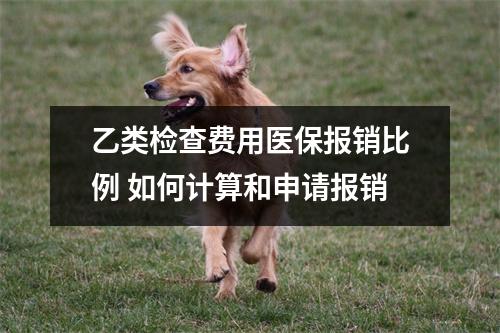 乙类检查费用医保报销比例 如何计算和申请报销
