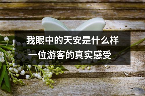 我眼中的天安是什么样 一位游客的真实感受