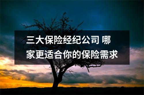 三大保险经纪公司 哪家更适合你的保险需求