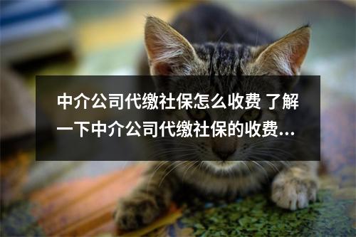 中介公司代缴社保怎么收费 了解一下中介公司代缴社保的收费标准