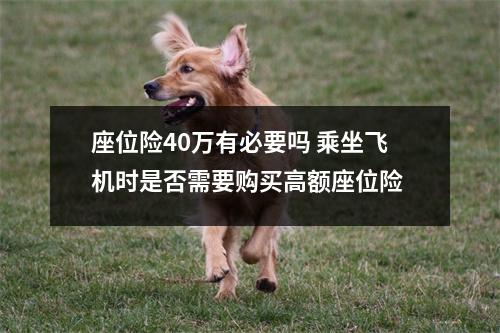 座位险40万有必要吗 乘坐飞机时是否需要购买高额座位险 