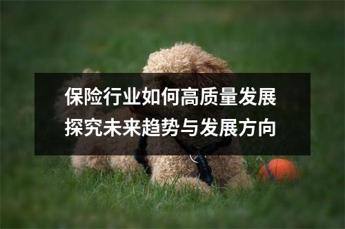 保险行业如何高质量发展 探究未来趋势与发展方向