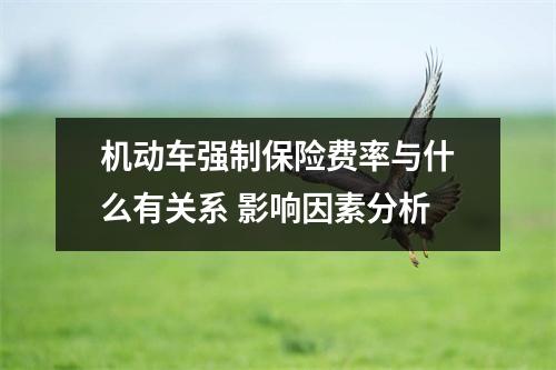 机动车强制保险费率与什么有关系 影响因素分析