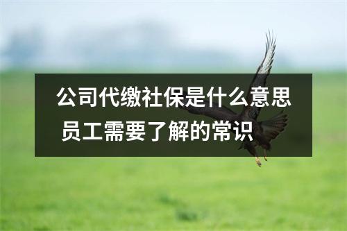 公司代缴社保是什么意思 员工需要了解的常识