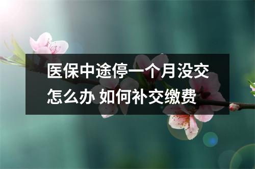 医保中途停一个月没交怎么办 如何补交缴费