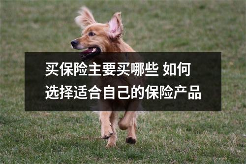 买保险主要买哪些 如何选择适合自己的保险产品