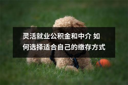 灵活就业公积金和中介 如何选择适合自己的缴存方式